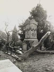 103414 Afbeelding van een door de storm van 25 januari 1990 omgewaaide boom op een grafmonument op een begraafplaats te ...